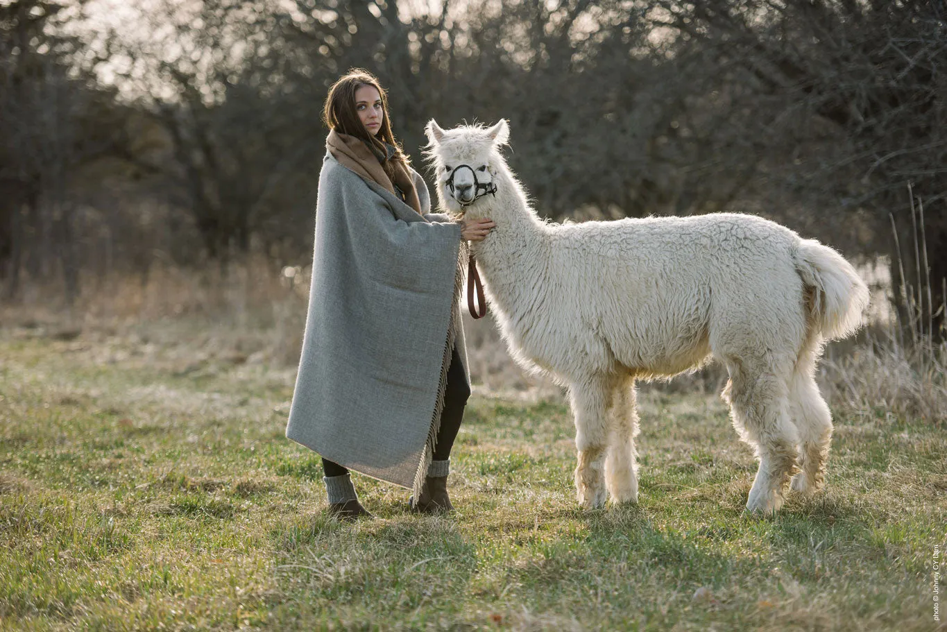 Alpaca Throw Blanket - "Festival" Reversible