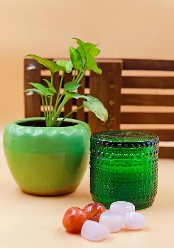 HARINI Prosperity Candle: Green Coconut Soy Wax in Elegant Glass Holder